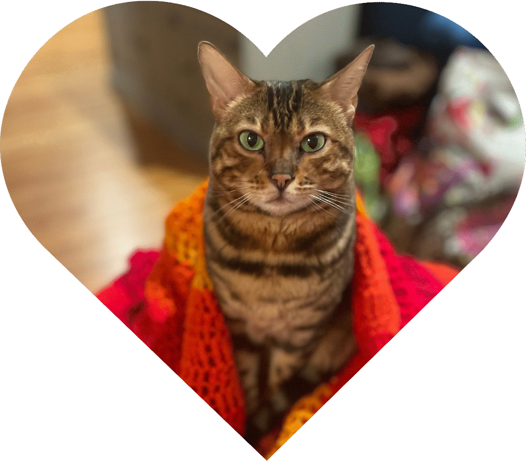 A striking Bengal cat sits wrapped in a red and orange crocheted shawl, looking directly at the camera with vibrant green eyes.