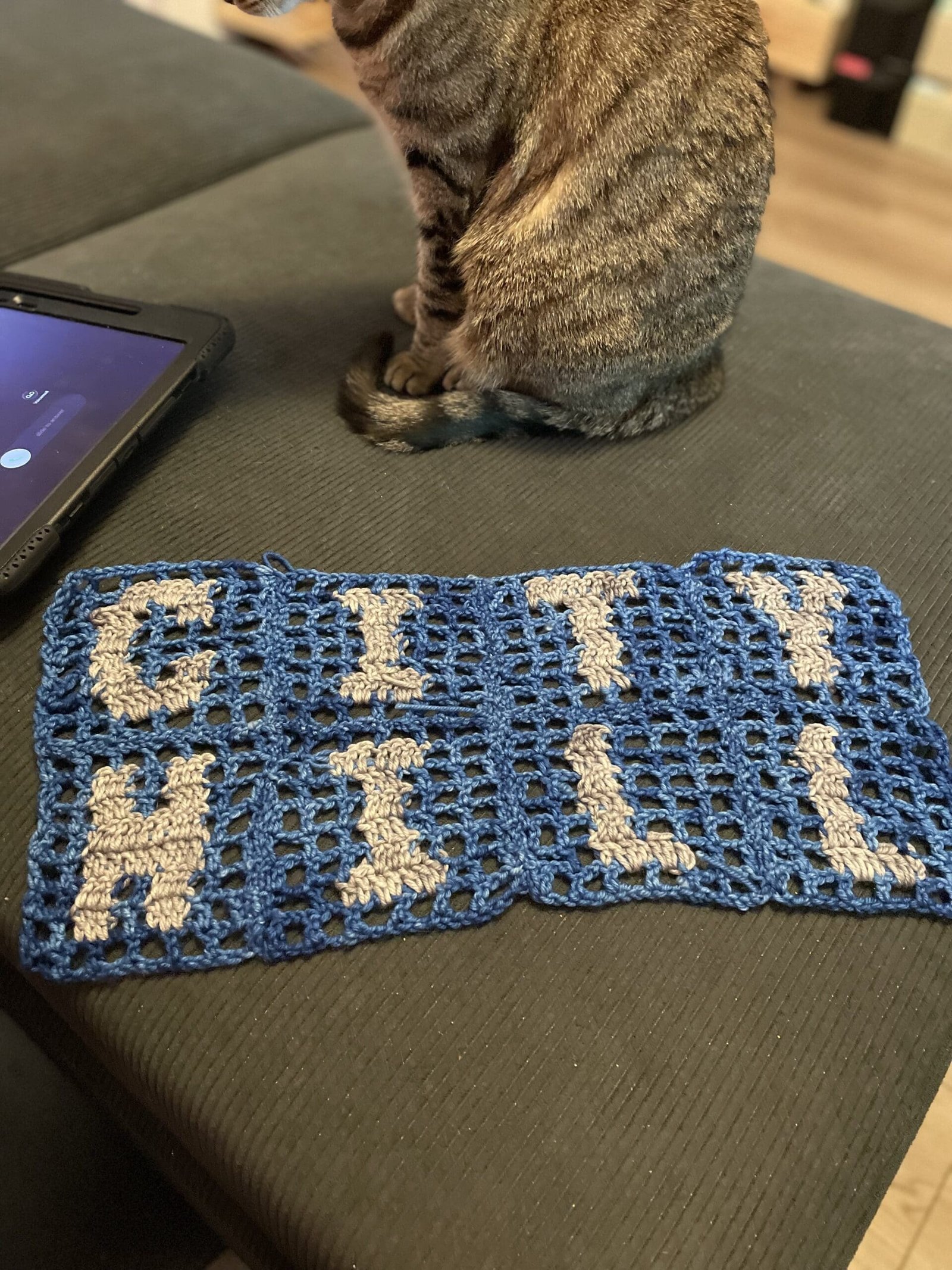 Blue crochet filet panels spelling “Hill City” laid out on a couch beside a tabby cat during the making process of a handmade sports cardigan by Pink Pearl Yarns.