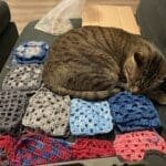 Tabby cat sleeping on unfinished crochet granny squares for the Hill City Howlers sports cardigan project.